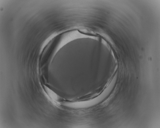 X0000071780910200607211554