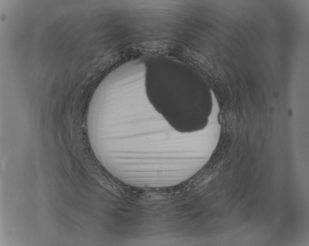 X0000071780913200607211553