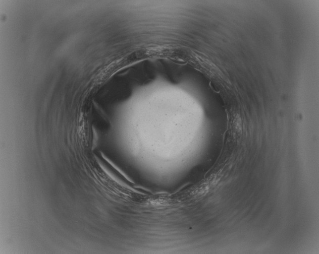 X0000071780914200607211553