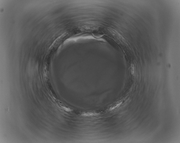 X0000071780915200607211553