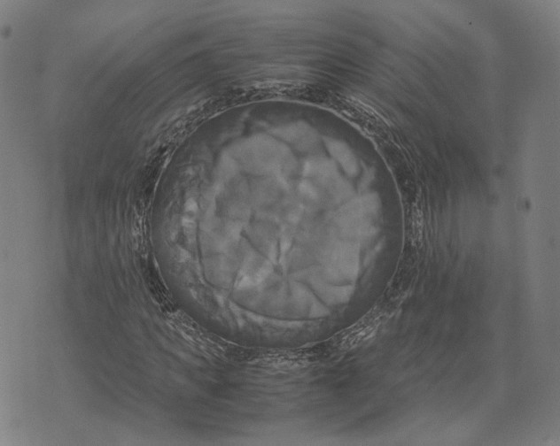 X0000071780917200607211553