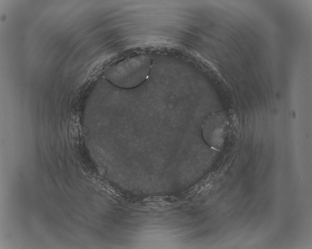 X0000071780918200607211553