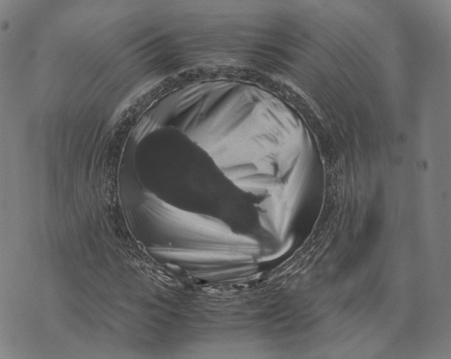 X0000071780919200607211553