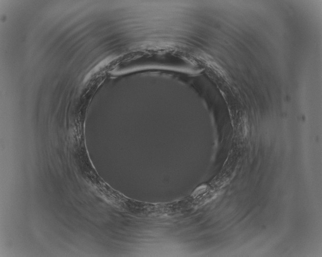 X0000071780920200607211553