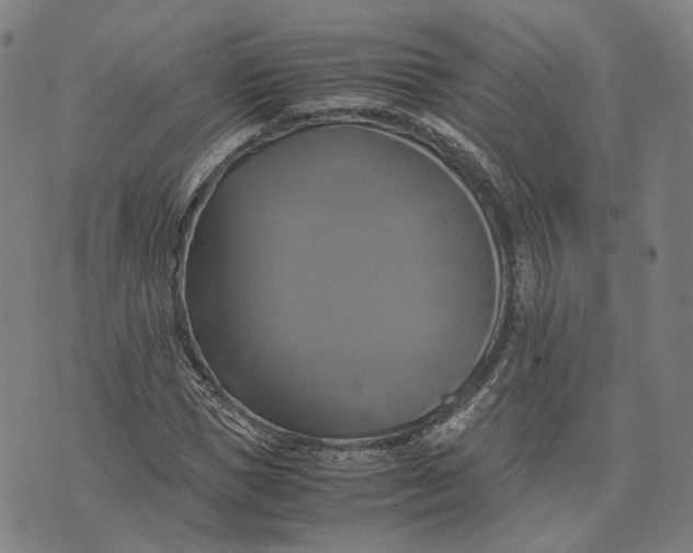 X0000071780921200607211553