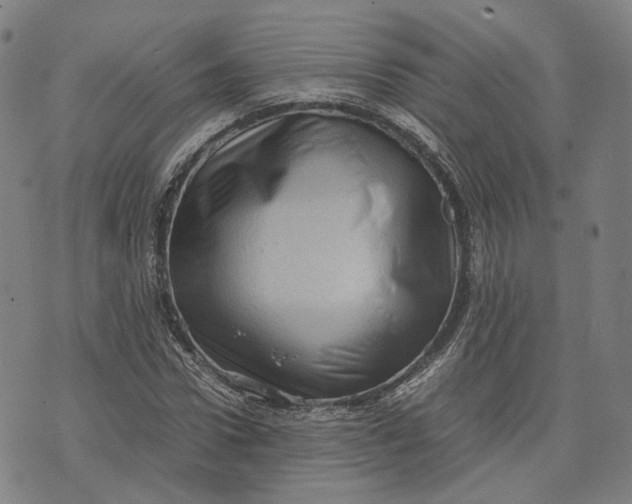 X0000071780922200607211553