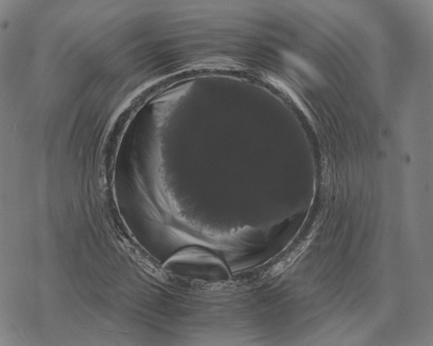 X0000071780923200607211553