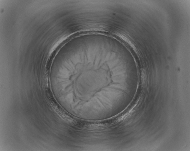 X0000071780925200607211553