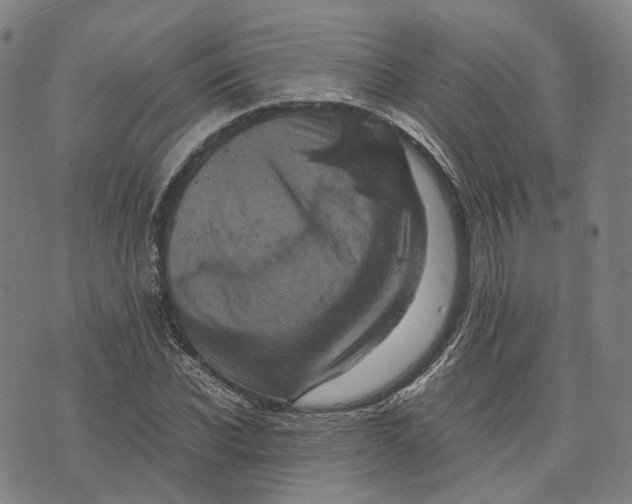 X0000071780926200607211553