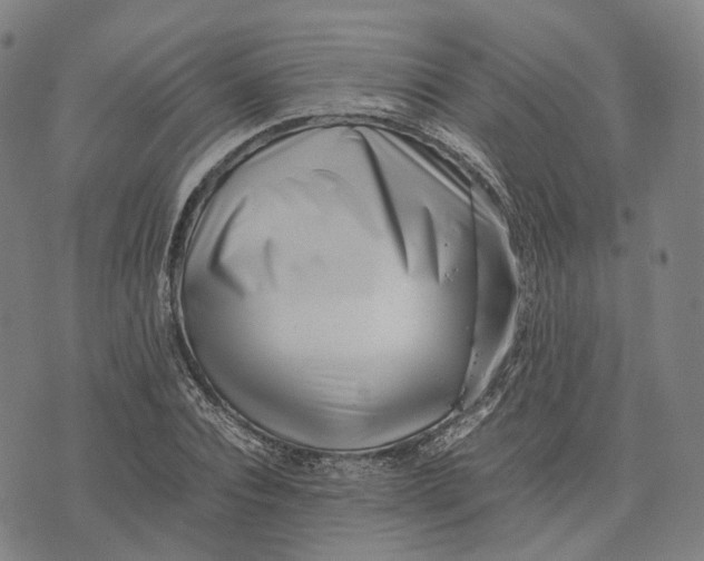 X0000071780928200607211553