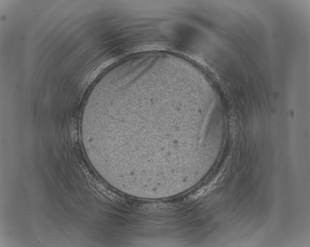 X0000071780929200607211553