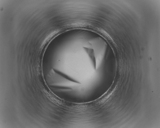 X0000071780930200607211553