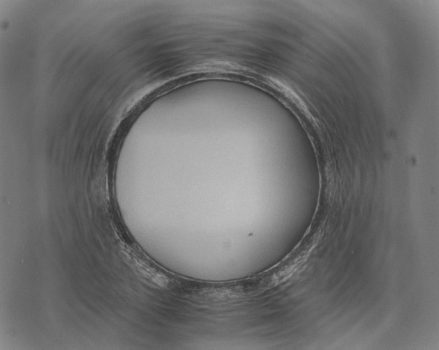 X0000071780931200607211553