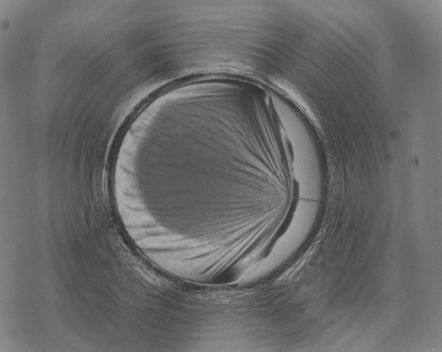 X0000071780932200607211553