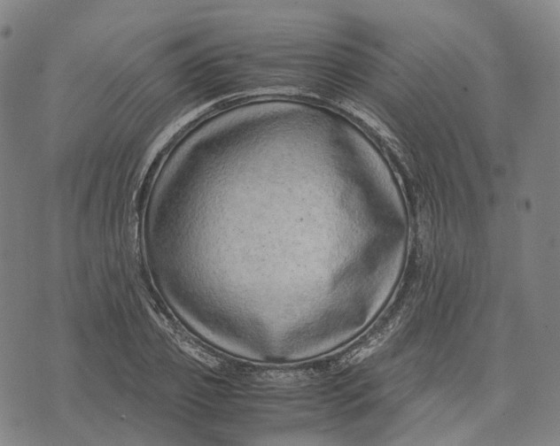 X0000071780933200607211553