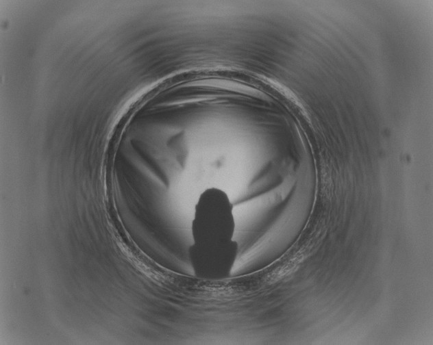 X0000071780935200607211553