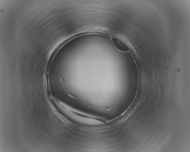 X0000071780936200607211553