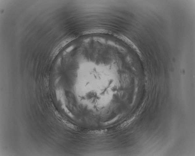 X0000071780937200607211553