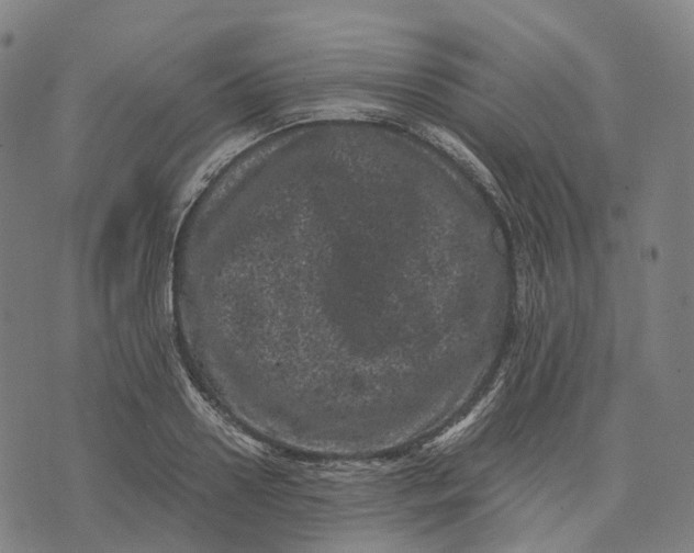 X0000071780938200607211553