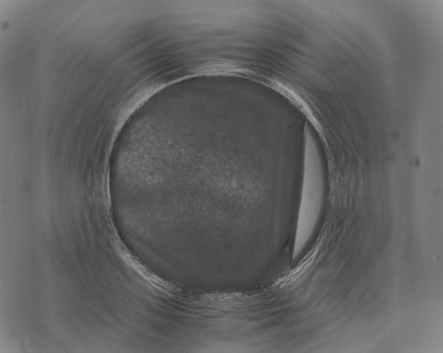 X0000071780939200607211553