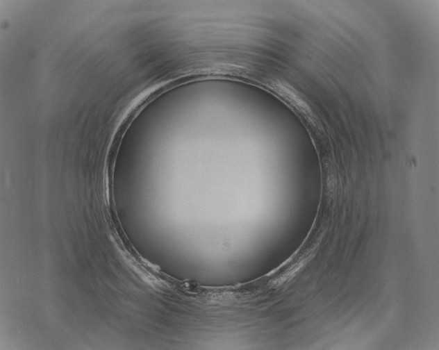 X0000071780940200607211553