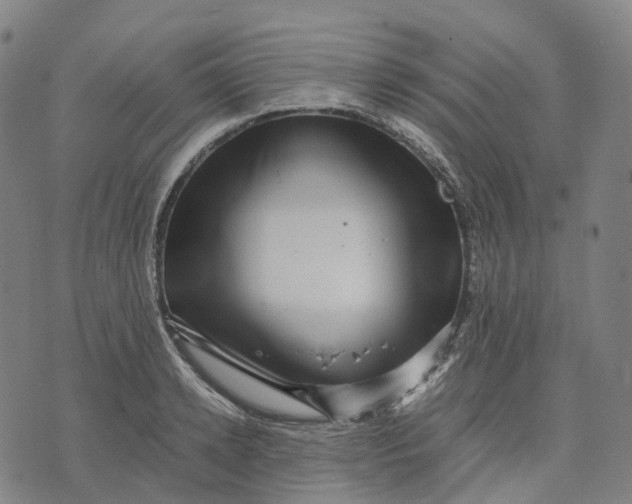 X0000071780942200607211553