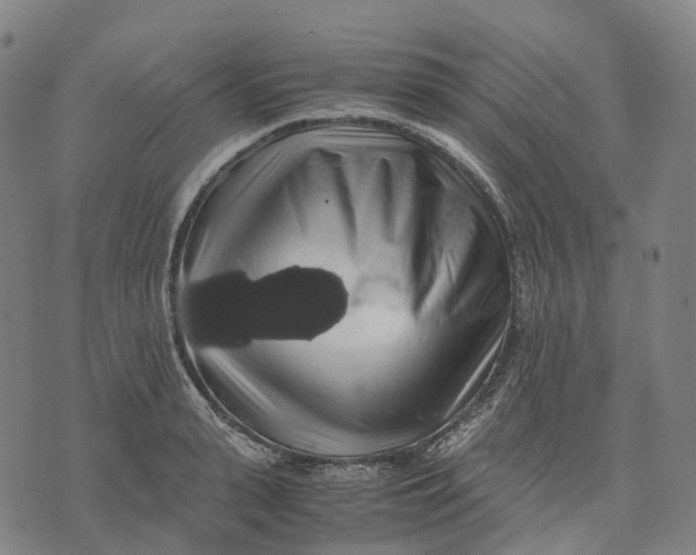 X0000071780943200607211553