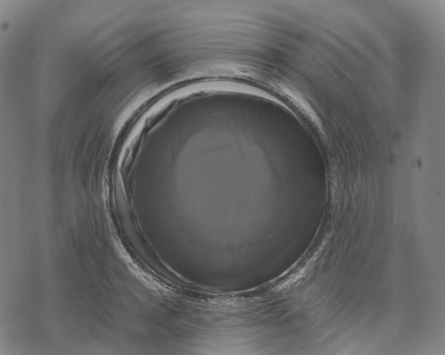 X0000071780944200607211553