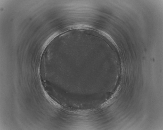 X0000071780946200607211553