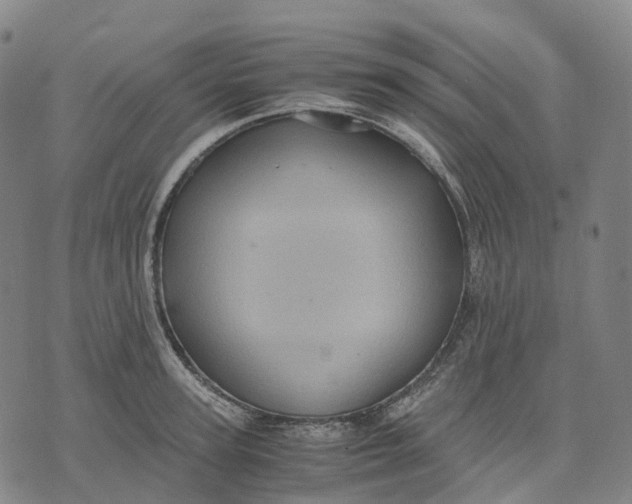 X0000071780947200607211553