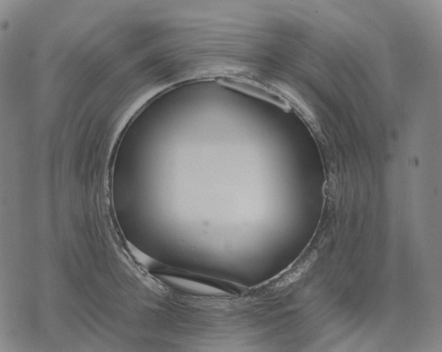 X0000071780948200607211553