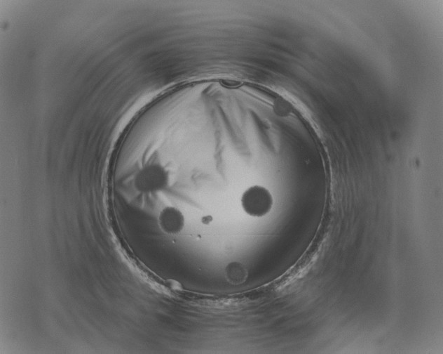 X0000071780949200607211553