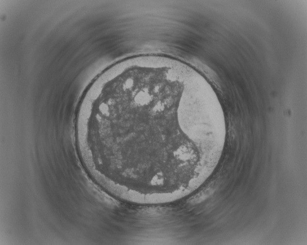 X0000071780950200607211553