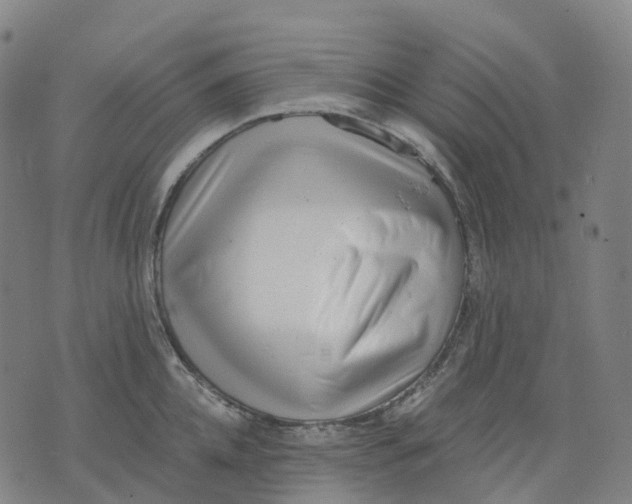 X0000071780952200607211553