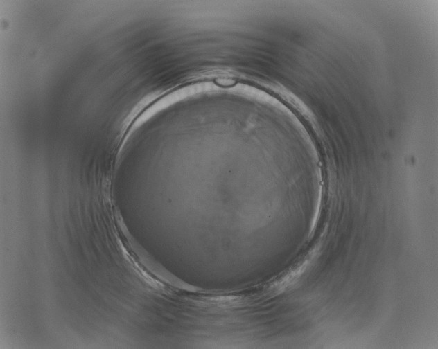 X0000071780953200607211553