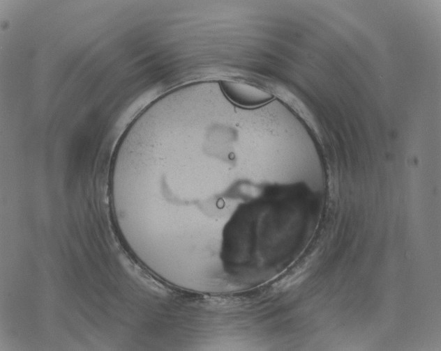 X0000071780954200607211553