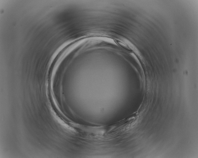 X0000071780955200607211553