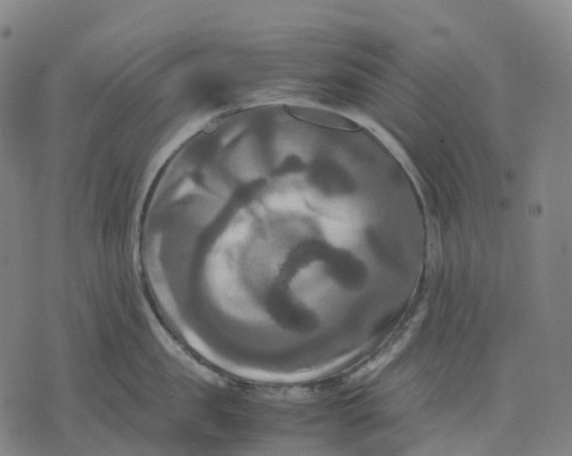 X0000071780957200607211553