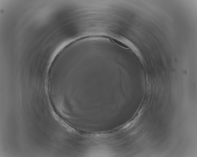 X0000071780958200607211553