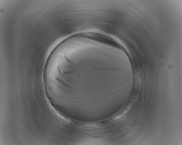 X0000071780959200607211554