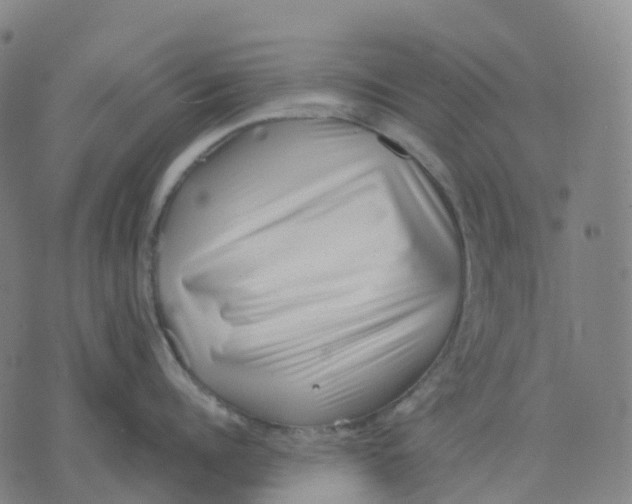 X0000071780960200607211554