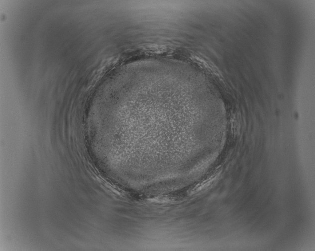 X0000071780961200607211553