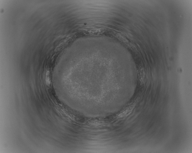 X0000071780962200607211553