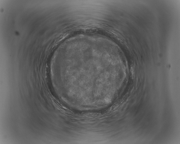 X0000071780963200607211553