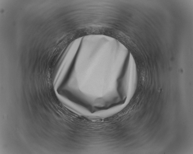 X0000071780964200607211553