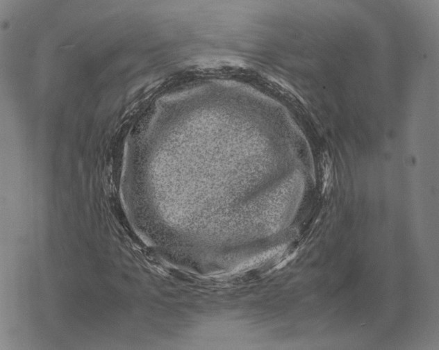 X0000071780965200607211553