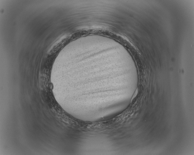 X0000071780967200607211553