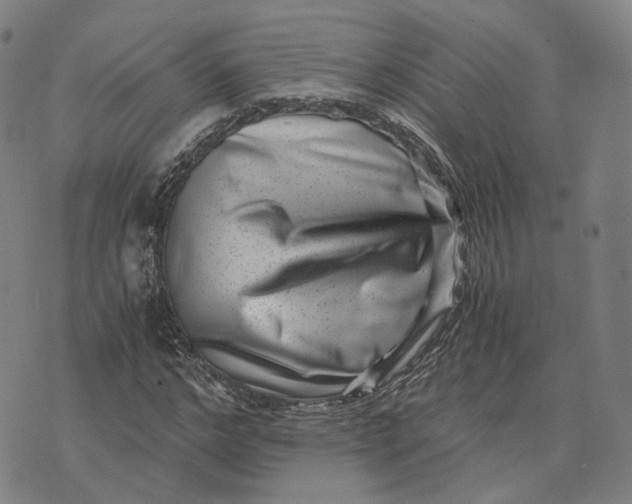 X0000071780968200607211553