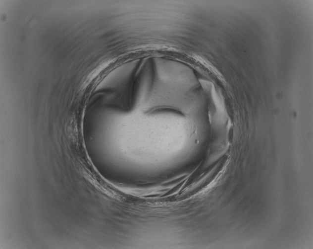 X0000071780969200607211553