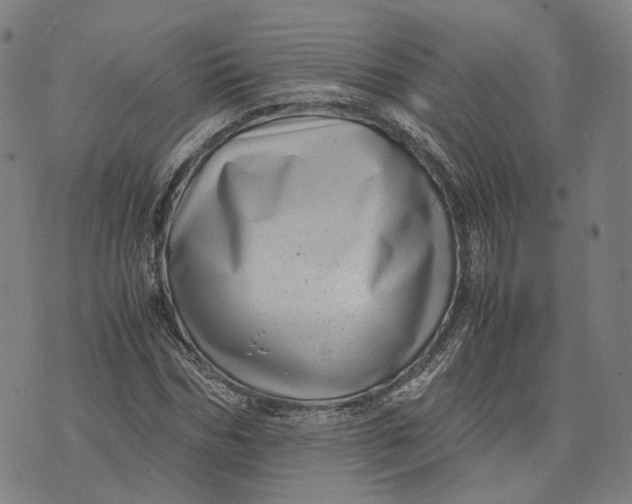 X0000071780970200607211553